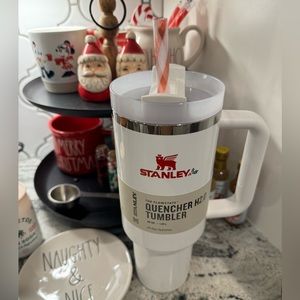 🎄🎅🏻 🌟 Stanley, Christmas Merry with a Twist!!